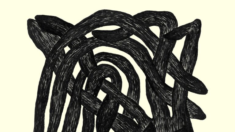 Rian Treanor / Ocen James: Critique de l'album Saccades