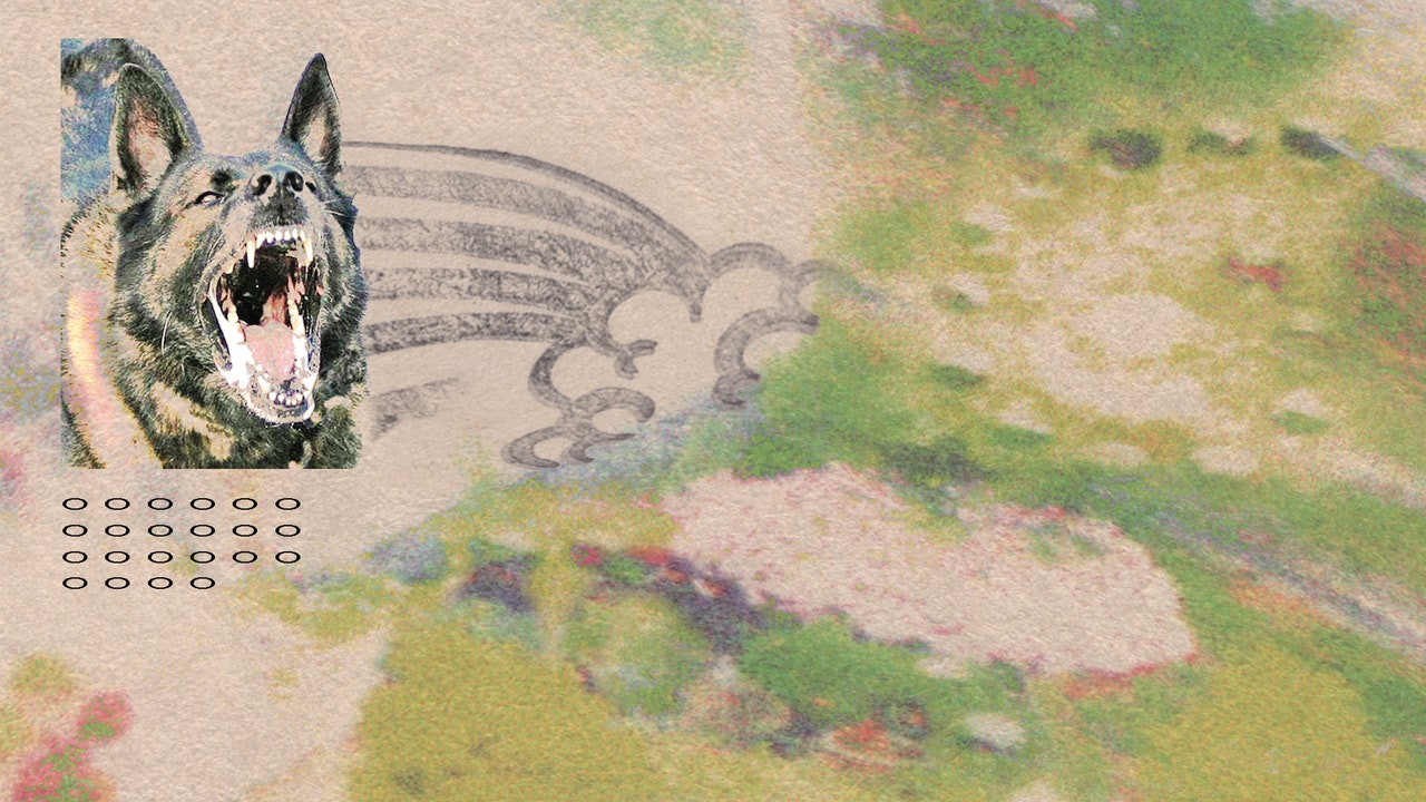 Critique de l'album Feeble Little Horse: Girl With Fish
