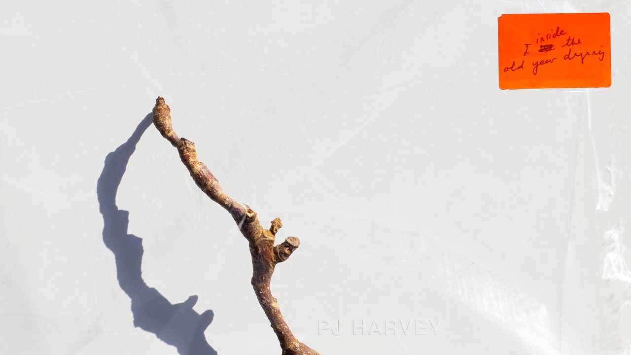 PJ Harvey: I Inside the Old Year Dying Album Review