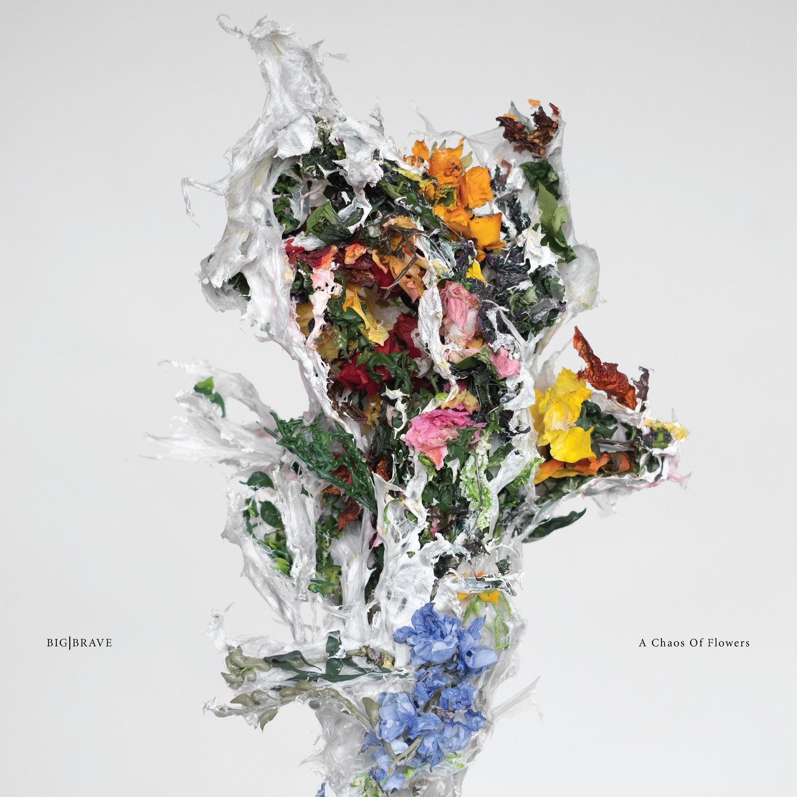 Grand|Brave Un chaos de fleurs