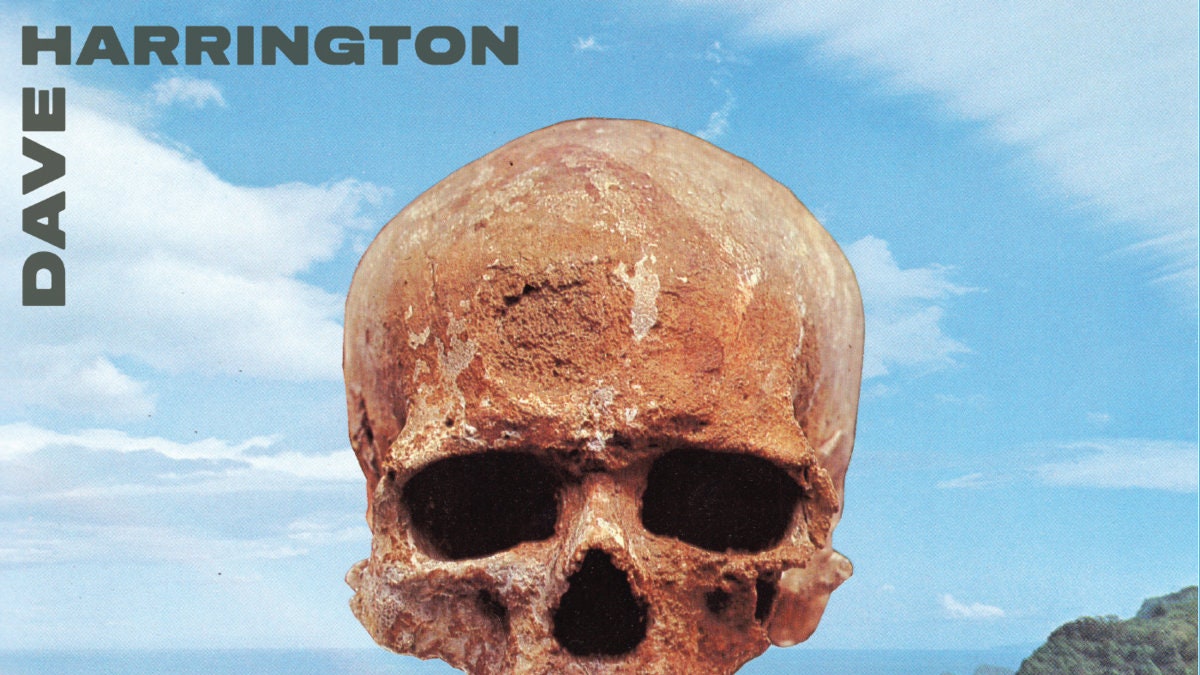 Dave Harrington : Critique de l'album Skull Dream