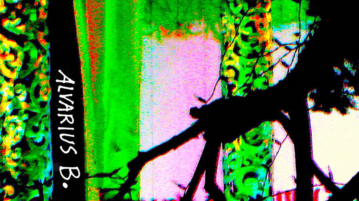 Alvarius B. : Critique de l'album Malaria Dream