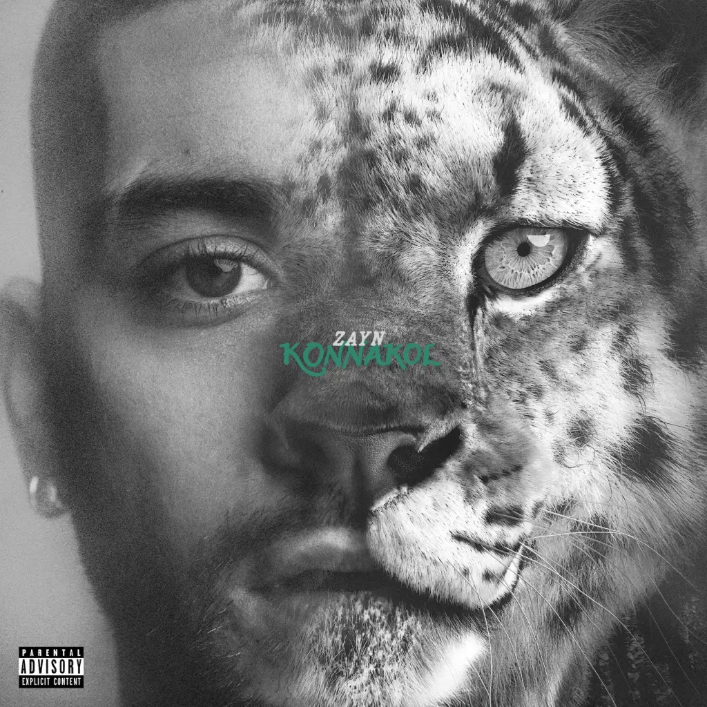 Critique : ZAYN - "Konnakol" - Newsic.it