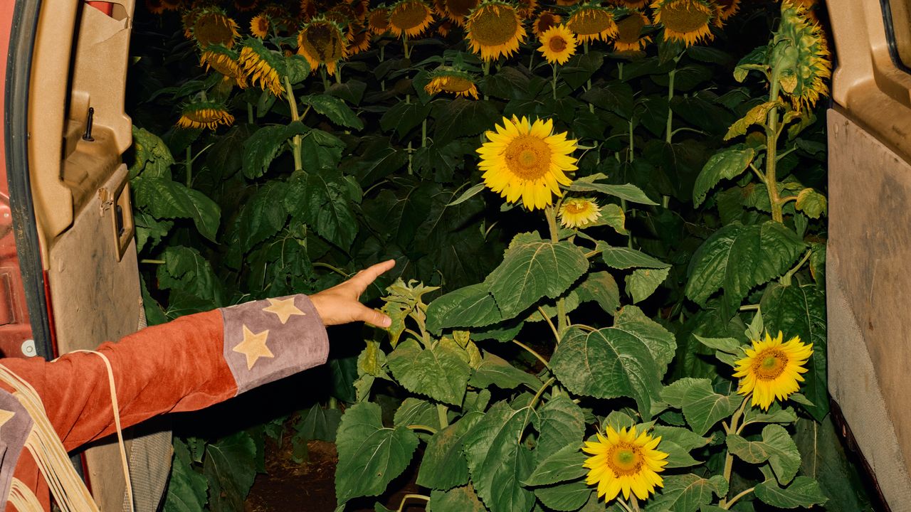 Kevin Morby : Critique de l'album Little Wide Open