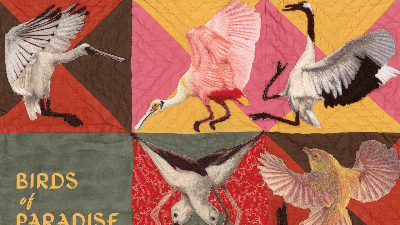 Thomas Dollbaum : Critique de l’album Birds of Paradise